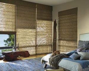 screen roman shade roman blind