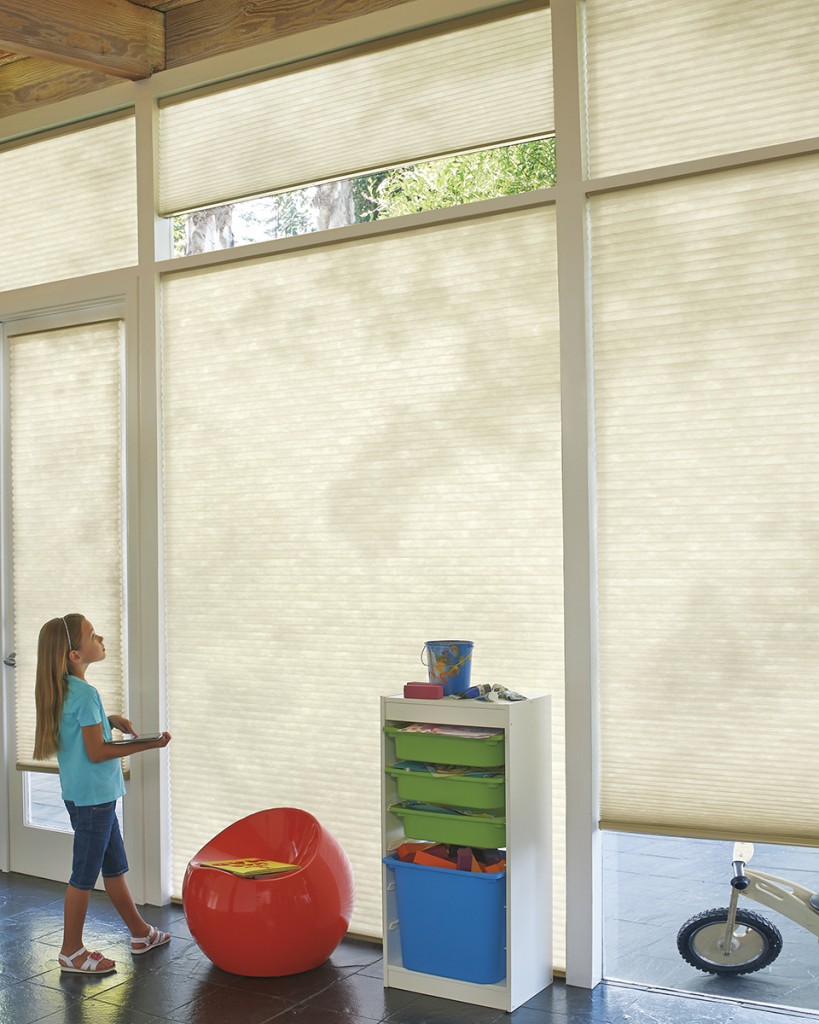 PowerView Motorized shades Hunter Douglas Applause honeycomb window blind