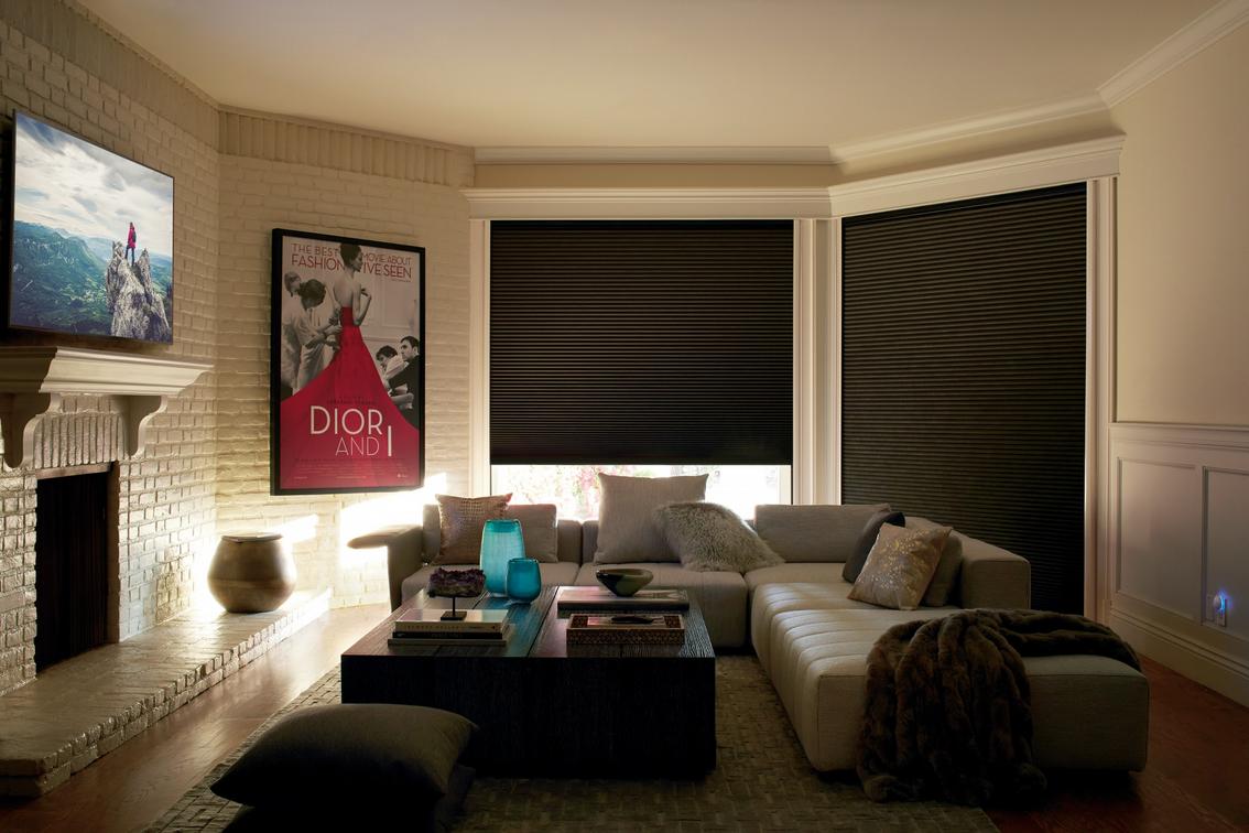 living room with blackout shades for media room