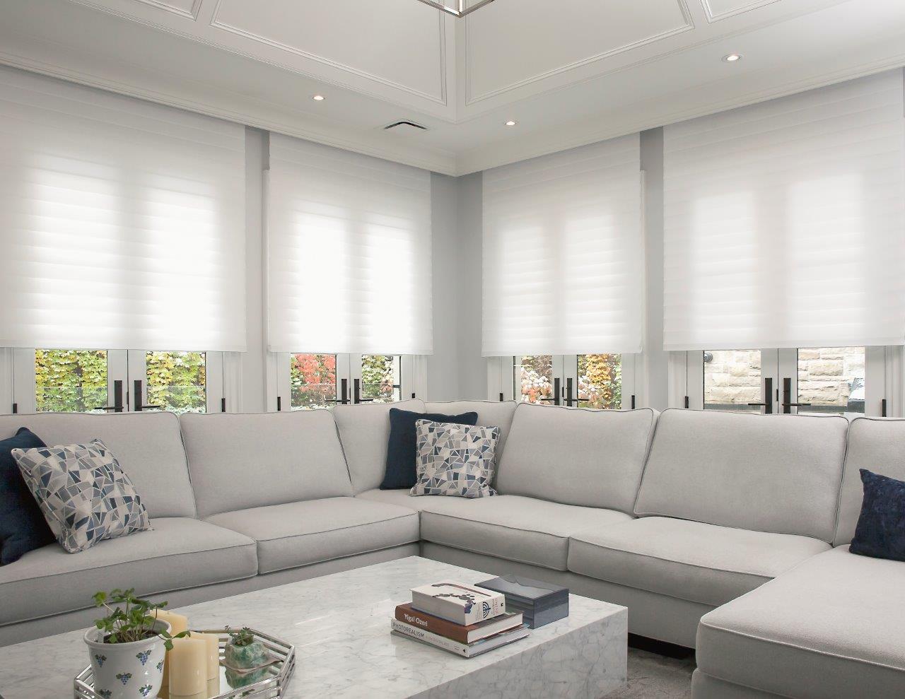 roller shades in an ontario living room design