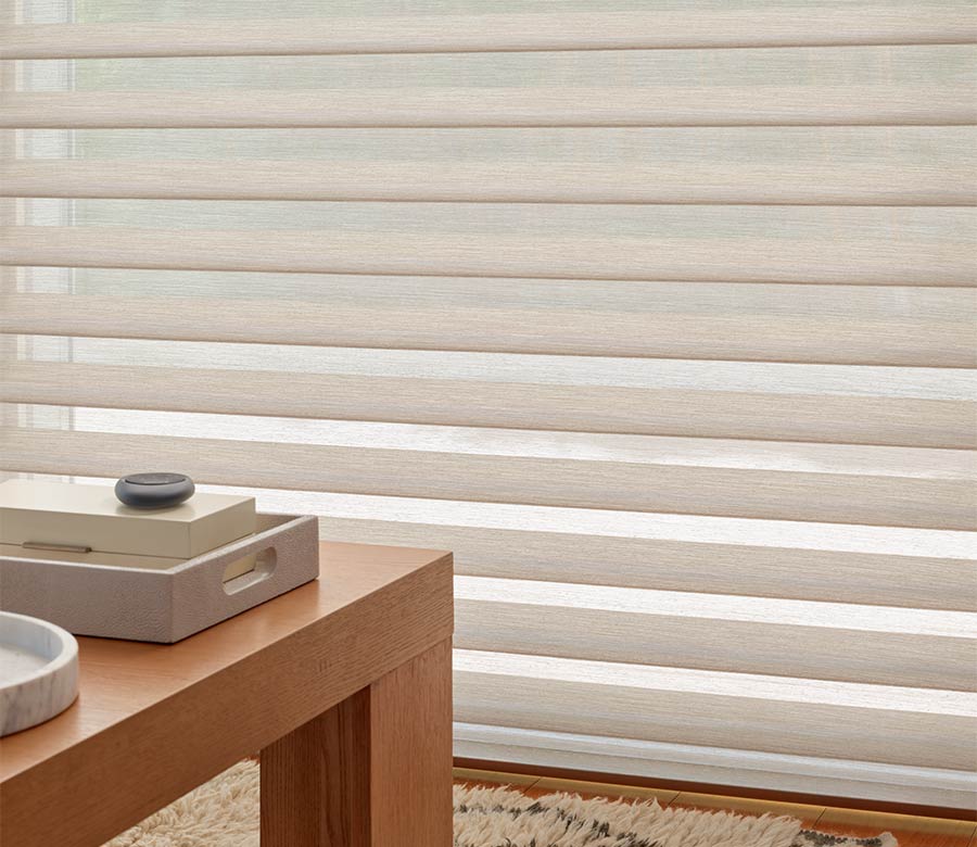 silhouette window close up in living room night and day decor