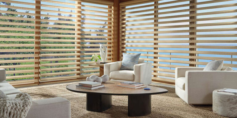 pirouette shades showcase views and invite soft natural light into living rooms