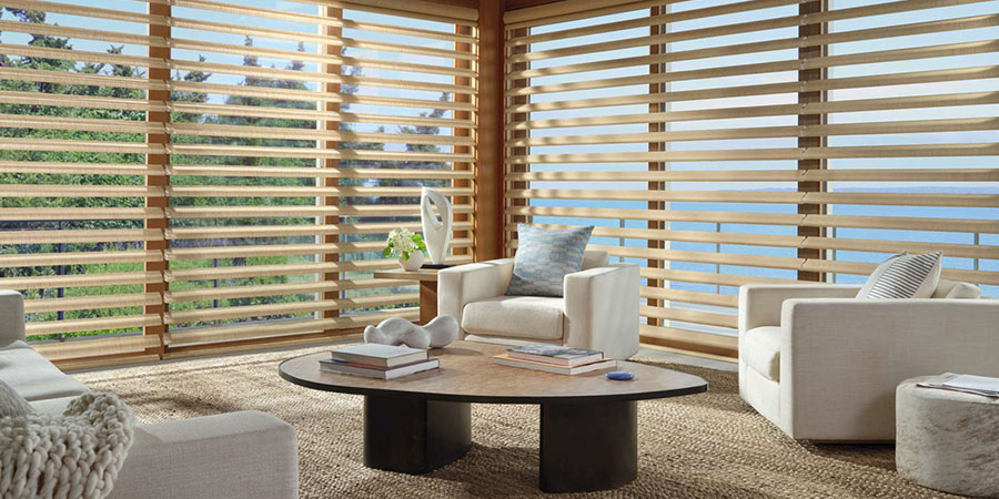 pirouette shades showcase views and invite soft natural light into living rooms