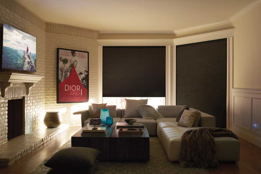 Duette® Honeycomb Shades in Toronto Canada home