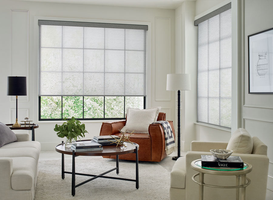 solar shades grid windows