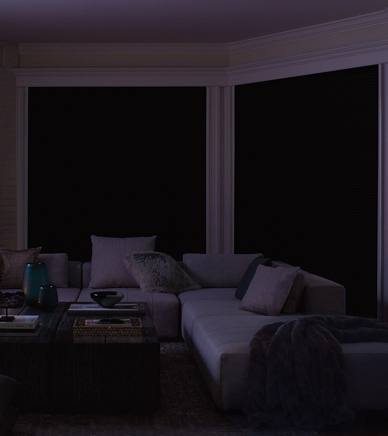 Duette® Honeycomb Shades with LightLock™ in a media room