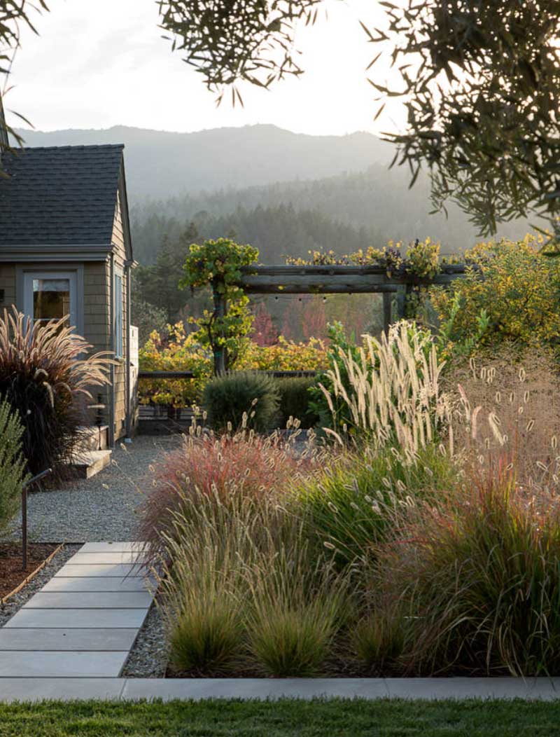 nature outdoor landscaping pantone toronto canada