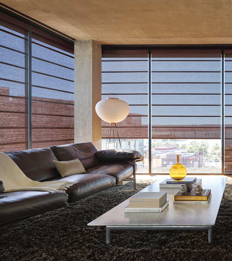 architectural roller shades in living room