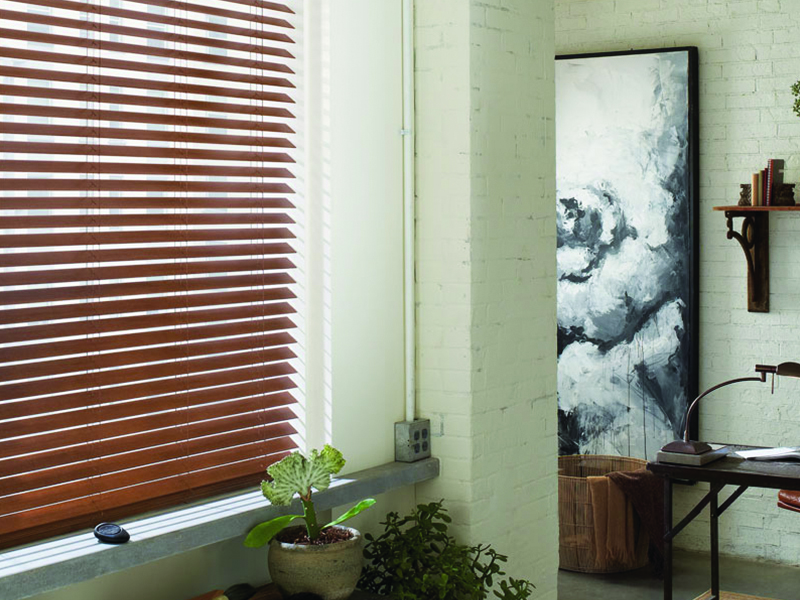 composite blinds for living room everwood