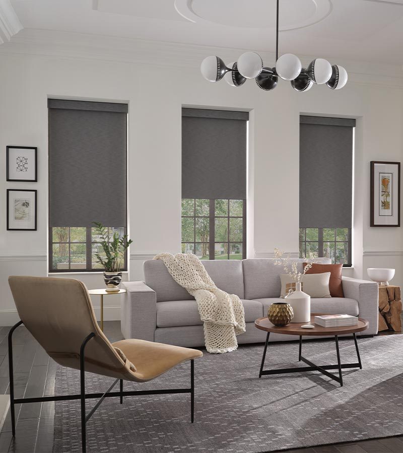 Designer Roller Shades