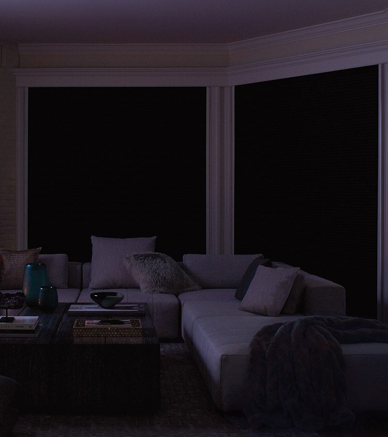 media room with closed room darkening window shades