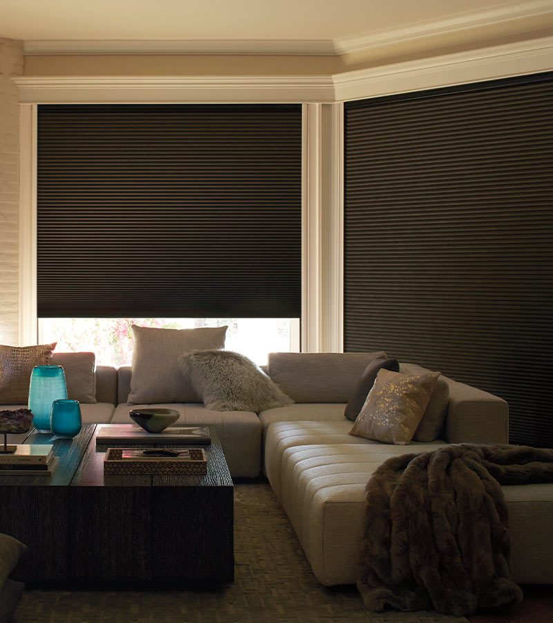 media room with dark colored room darkening blinds blackout shades