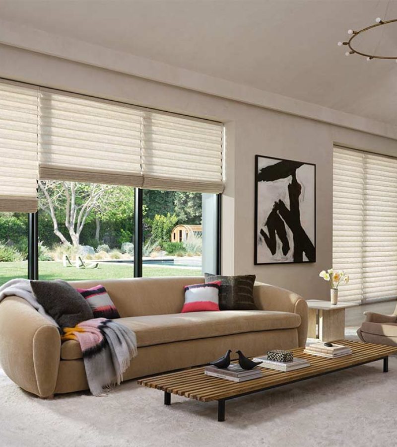 vignette-large-window-roman-shades-hunter-douglas-night-and-day-window-decor